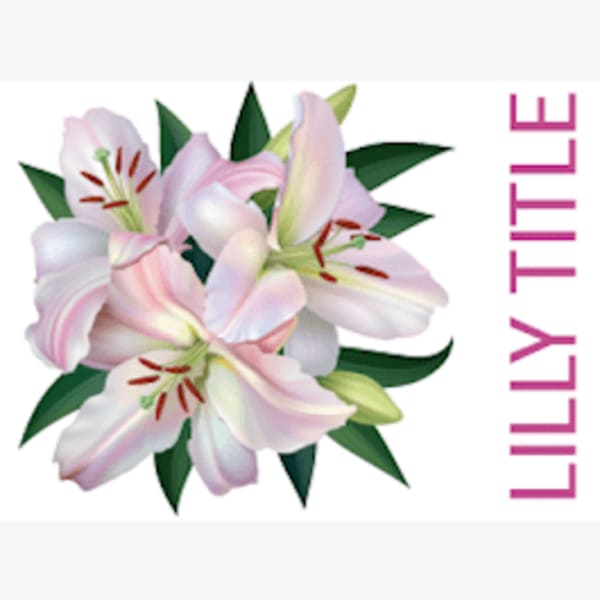 Lilly Title And Settlement