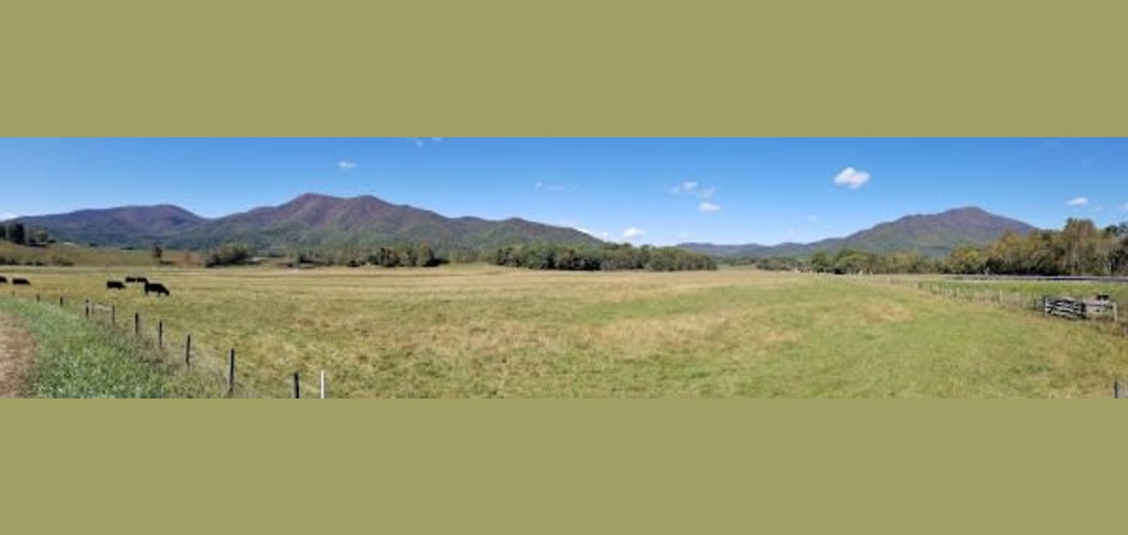 Silver Creek Orchards Inc — image 1