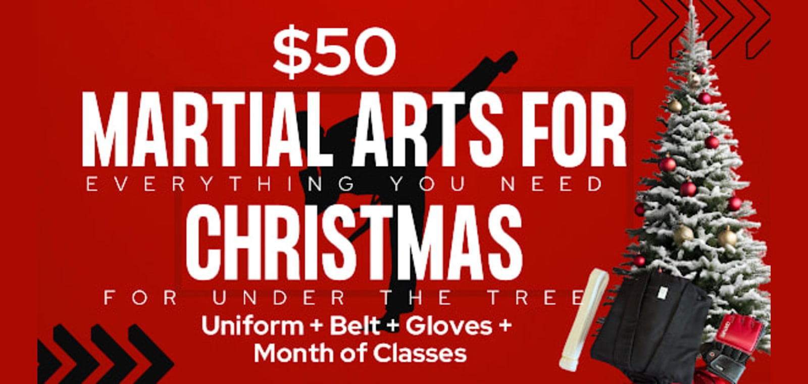 Madison Heights Family Martial Arts — image 1