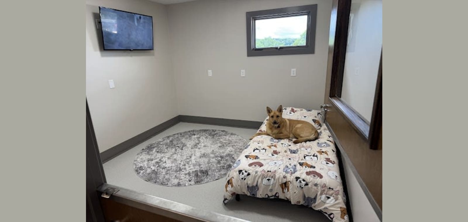 The Paw House Pet Resort — image 1