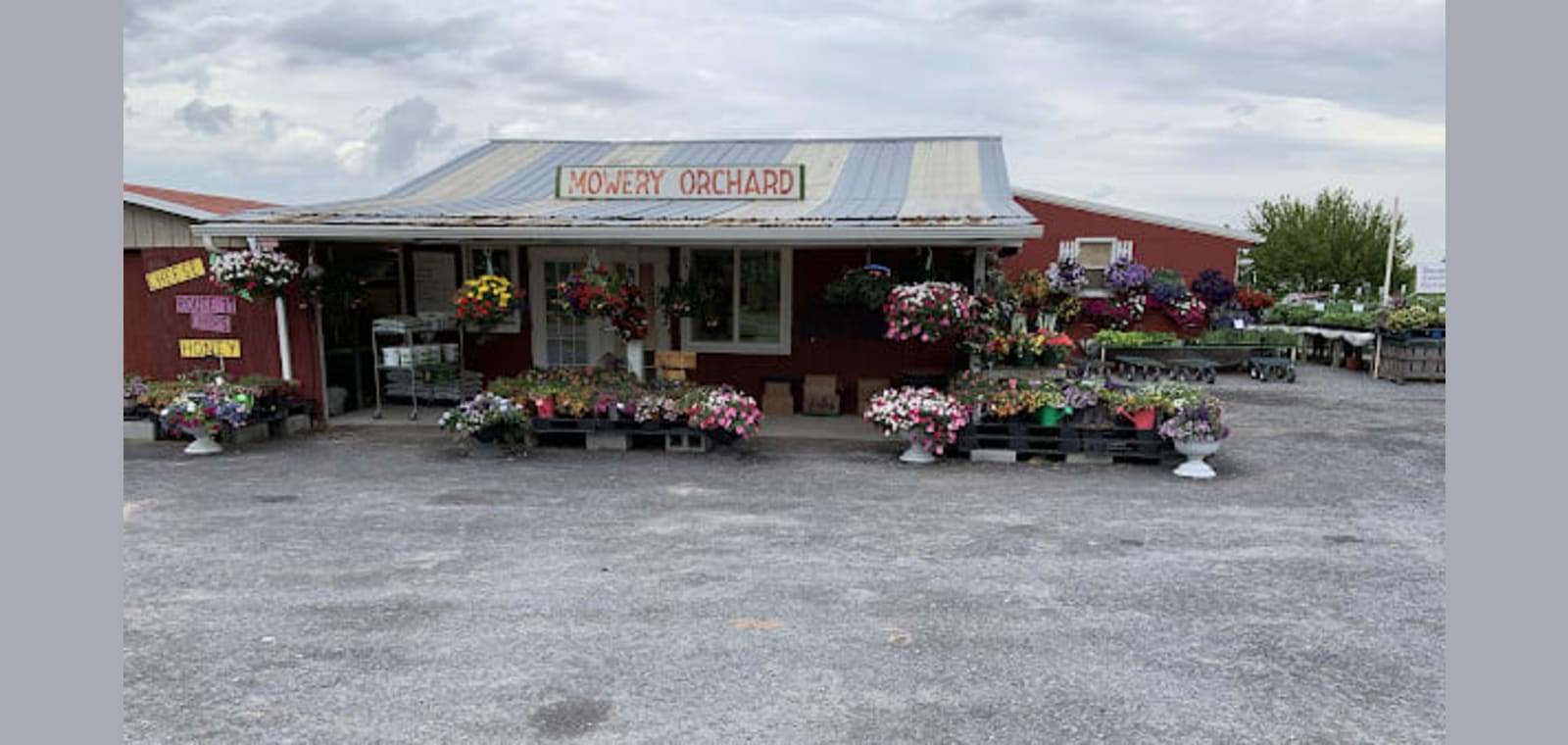 Mowery Orchard — image 1
