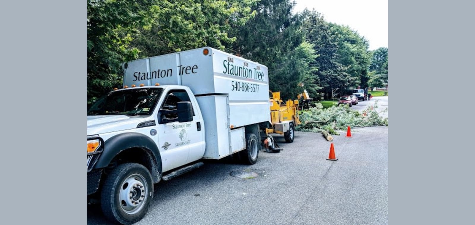 Staunton Tree Service — image 1