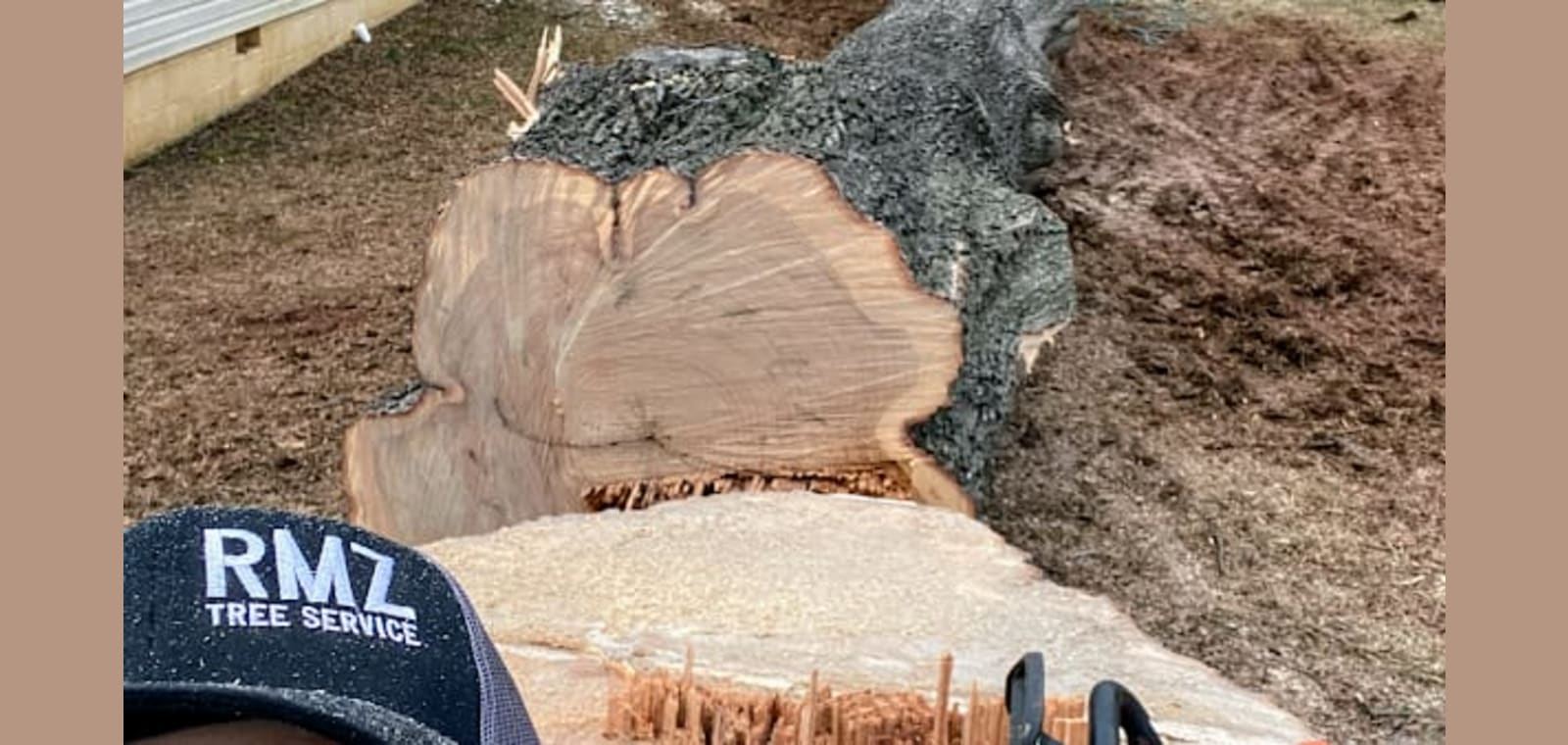 RMZ Tree Service LLC — image 1