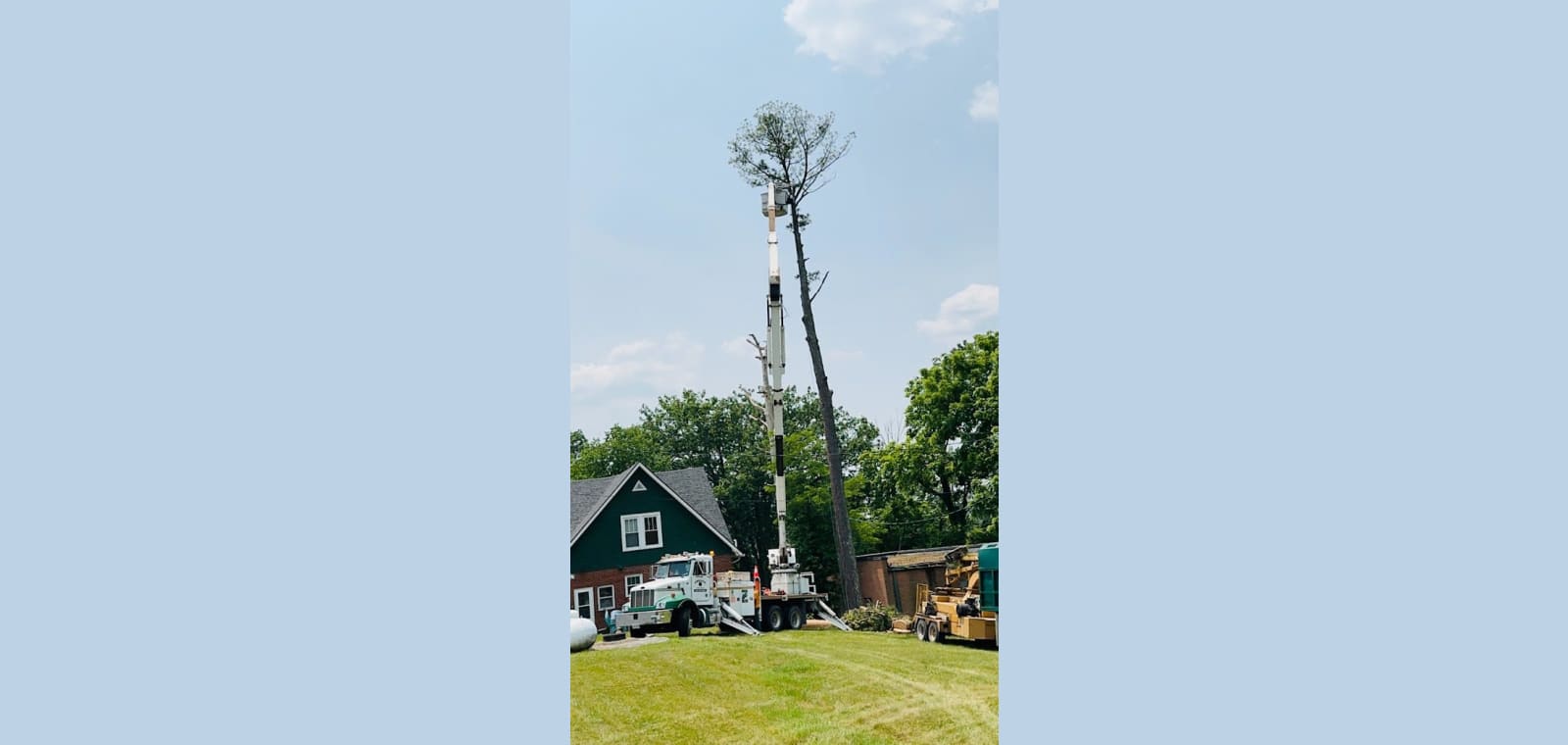 Orrison Tree Service — image 1