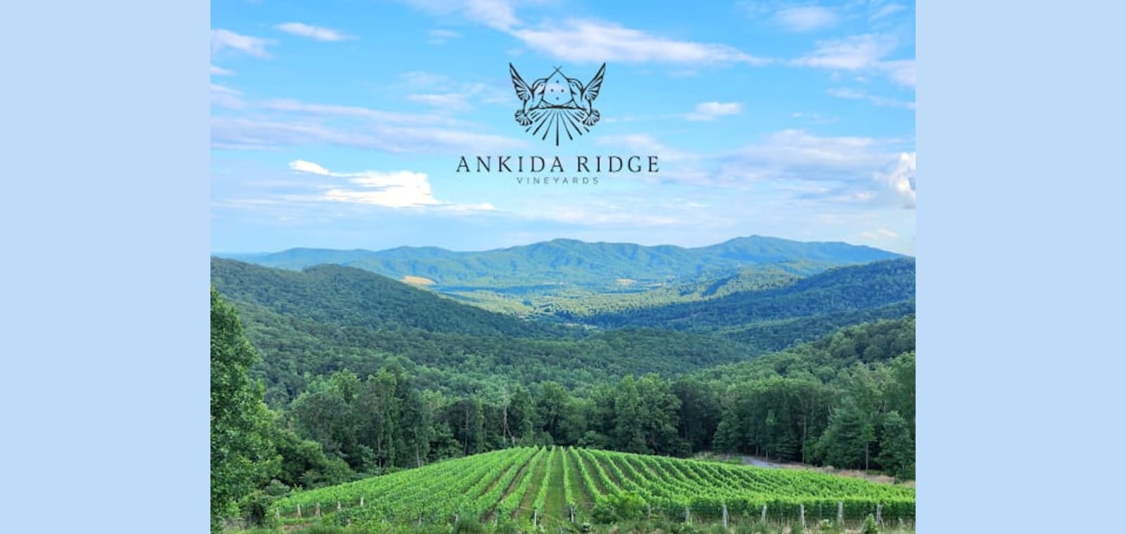 Ankida Ridge Vineyards — image 1