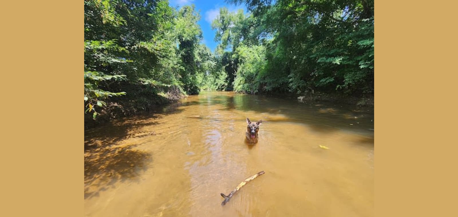 Moores Creek Park — image 1