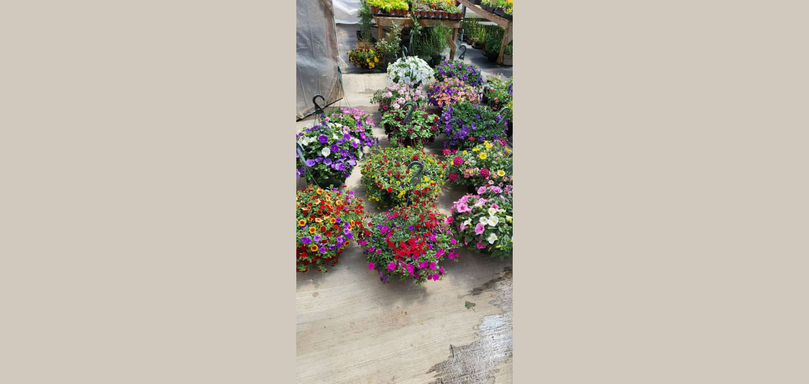 Calixto Farm — image 1
