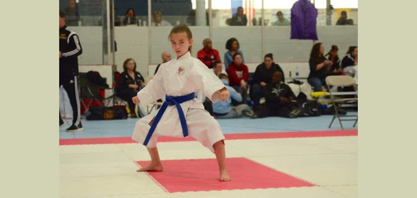 L M Karate Academy — image 1