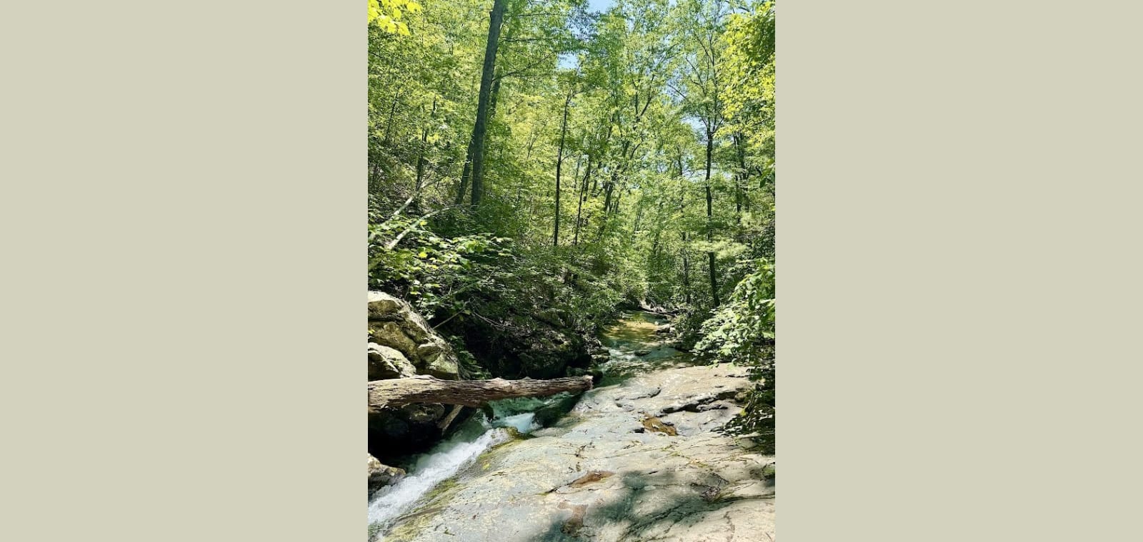White Rock Falls Trailhead — image 1