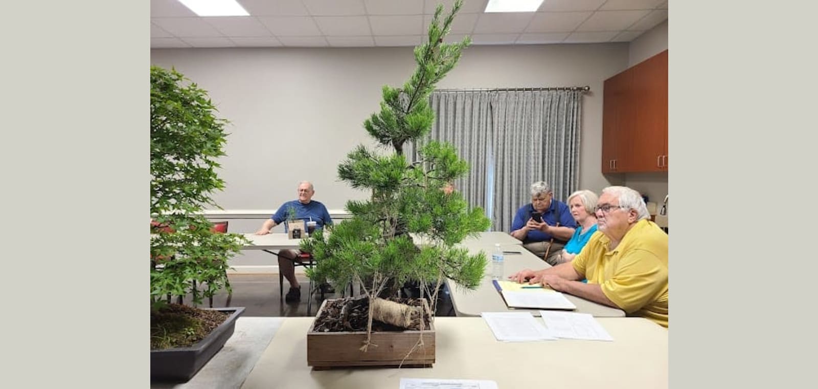 Roanoke Council-Garden Clubs — image 1
