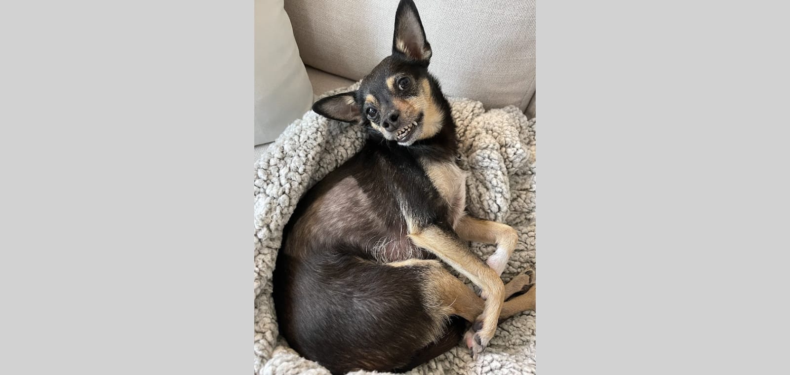 Rockfish Valley Veterinary Clinic — image 1
