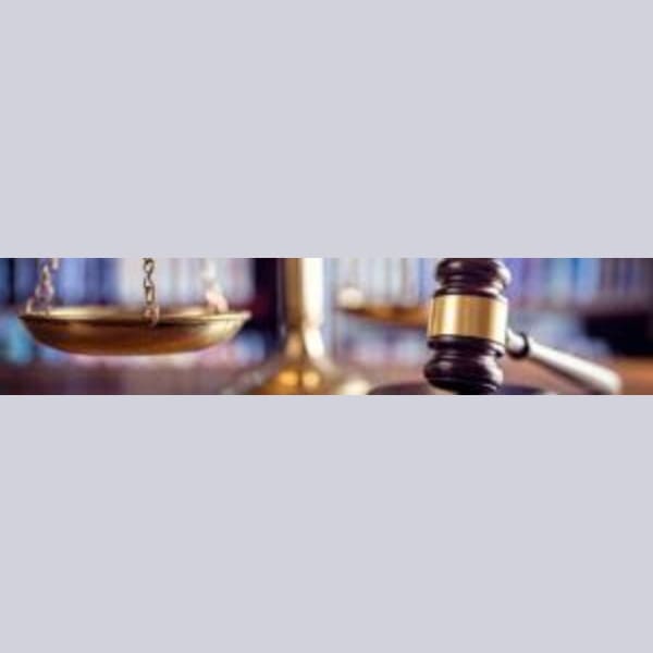 The Women's Legal Group