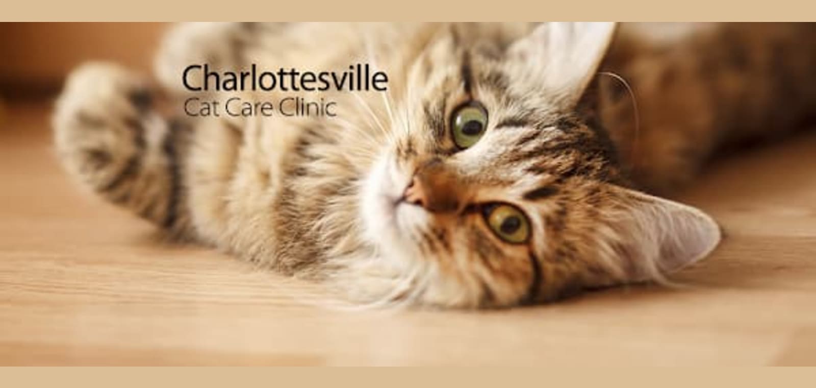 Charlottesville Cat Care Clinic — image 1