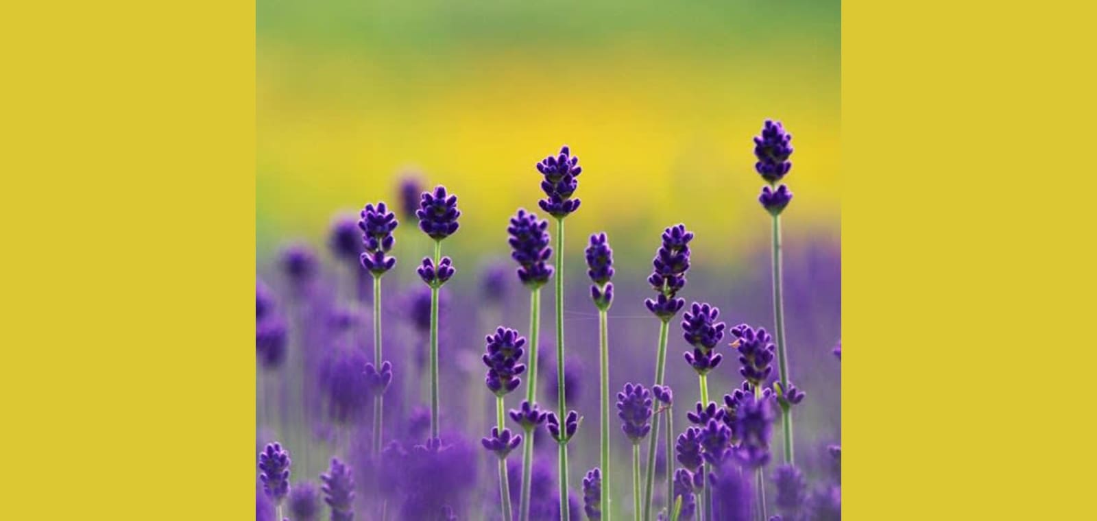 HEALTH MATTERS Esthetics and Massage — image 1
