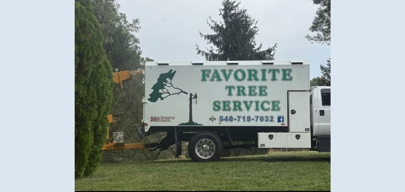 Favorite Tree Service LLC — image 1