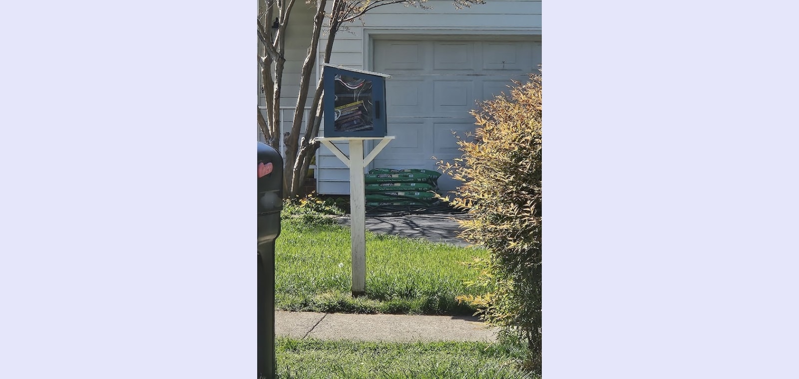Little Free Library — image 1