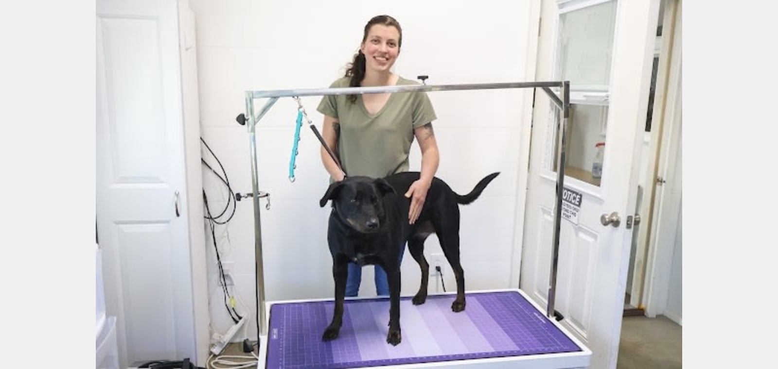 What The Fluff Pet Grooming — image 1