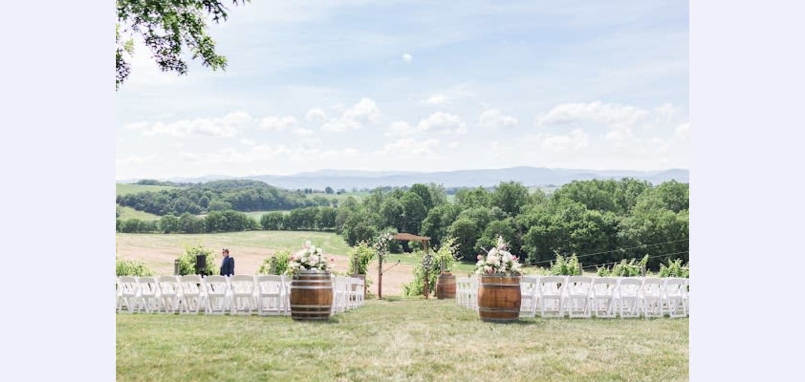 Bluestone Vineyard — image 1