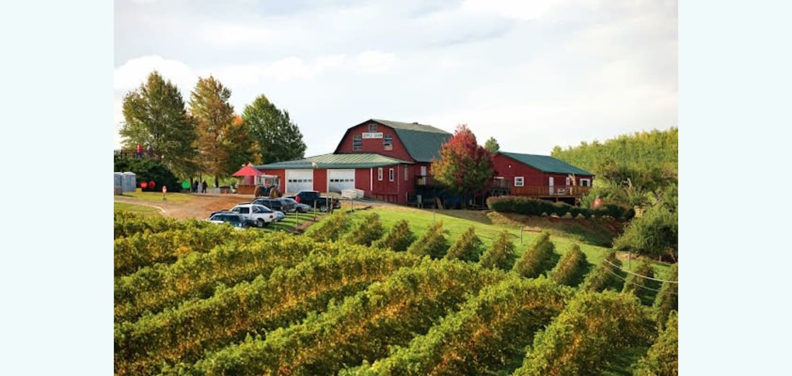 Carter Mountain Orchard and Country Store — image 1
