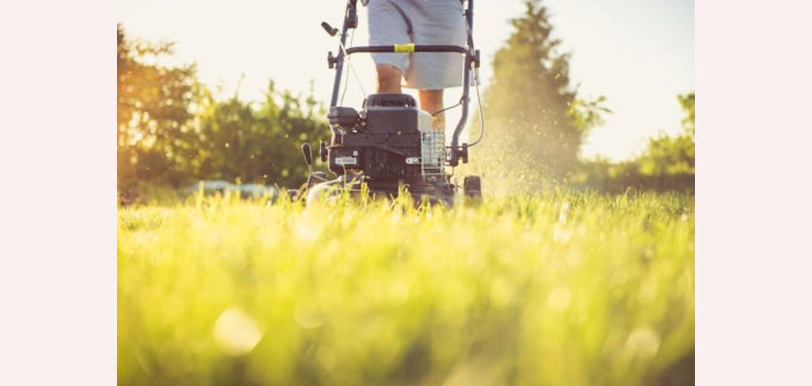 JT Gentrys Lawncare — image 1