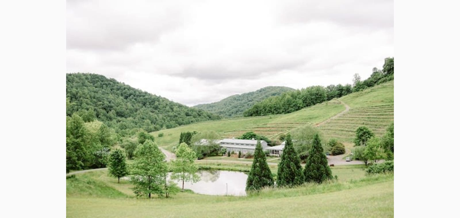 Mountain & Vine Vineyards and Winery — image 1