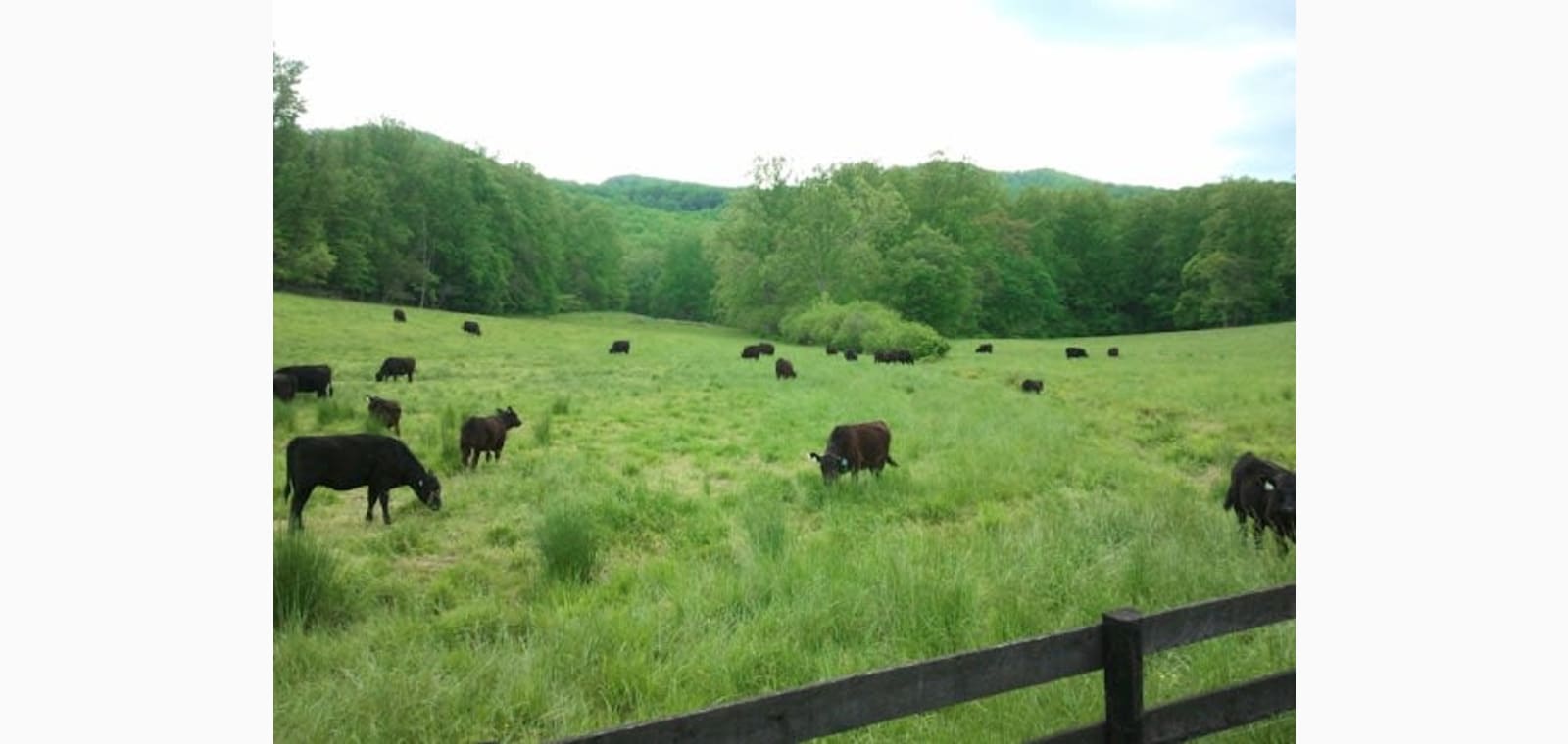 Highland Orchard Farm — image 1