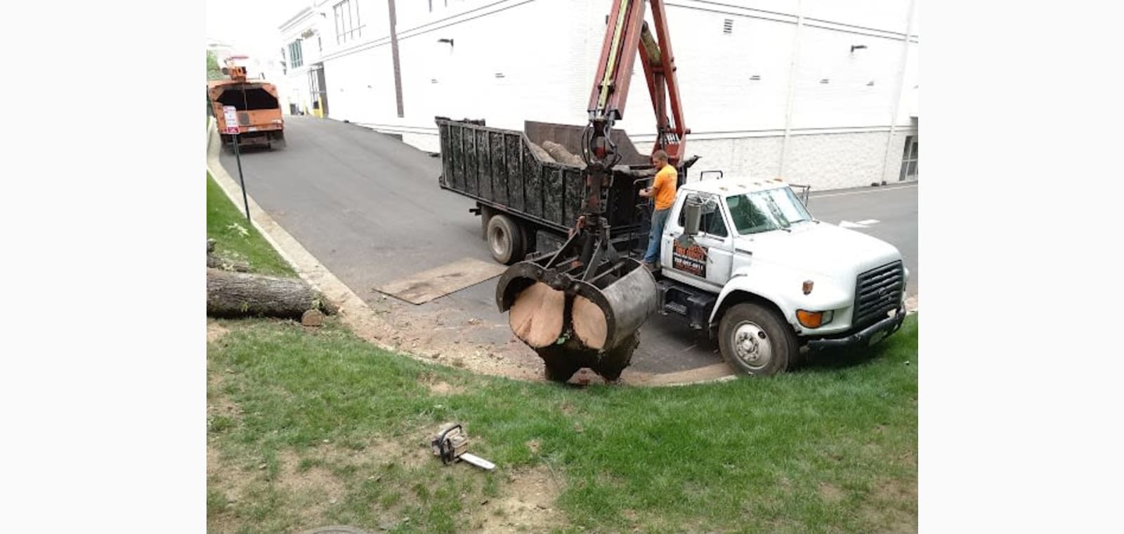 Stumpbusters Tree Service, LLC — image 1