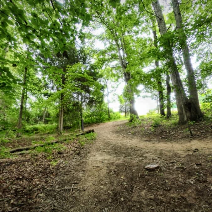 Preddy Creek - 5 Mile Hike - Dog Friendly - Followed by The Barn at 678