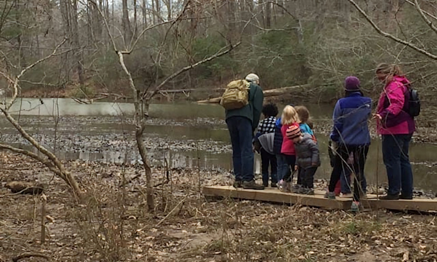 Little Naturalists