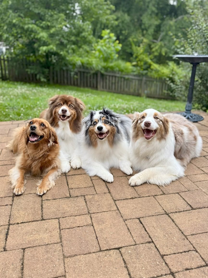 Paws to Read