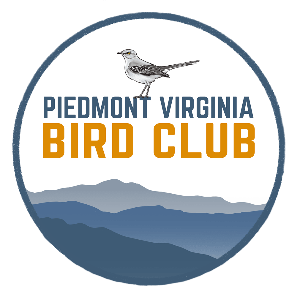 Birding Before Work: Daily Walks April 27 – May 8