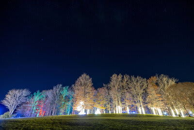 VERITAS ILLUMINATED WALKING LIGHT TRAIL
