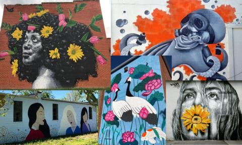 Street Arts Walking Tour - Morning