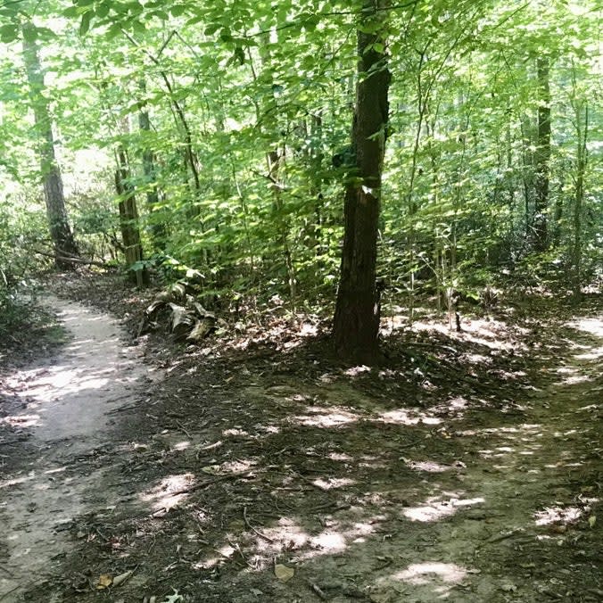 Biscuit Run Trails - 5 moderate miles