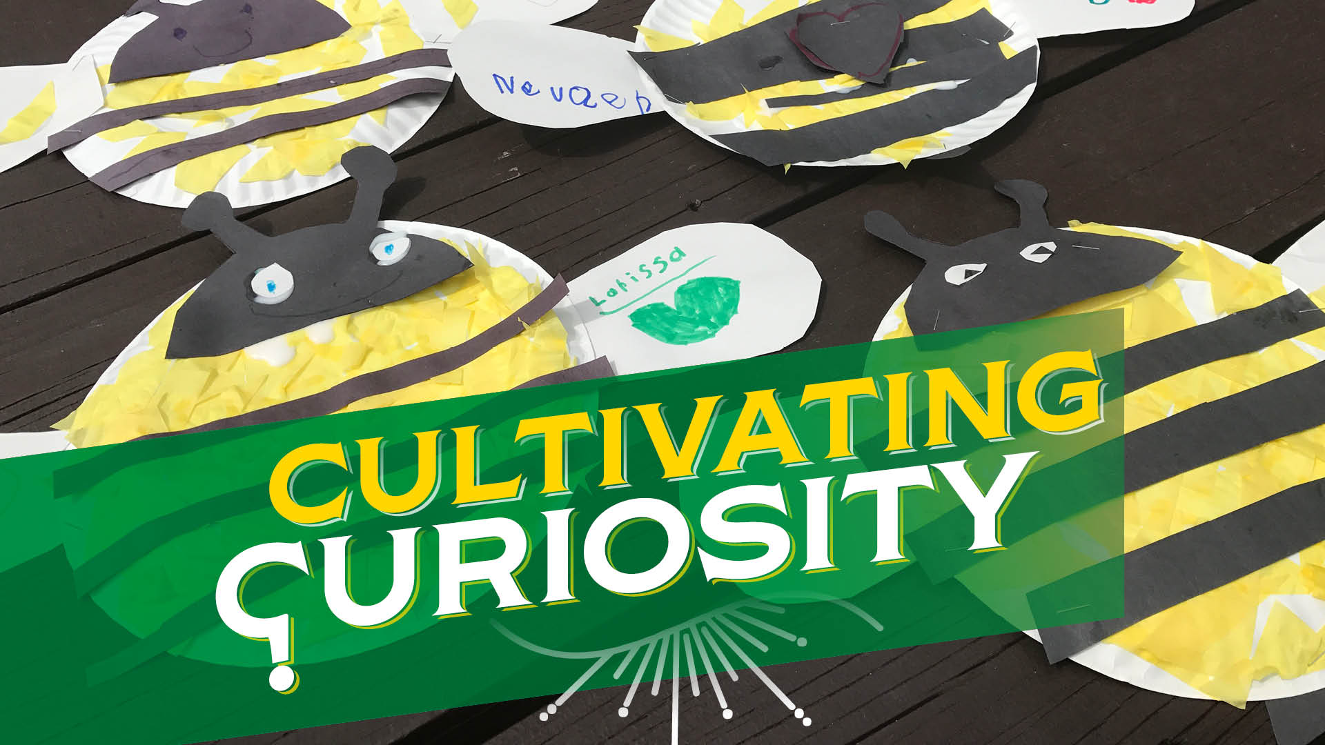 Cultivating Curiosity