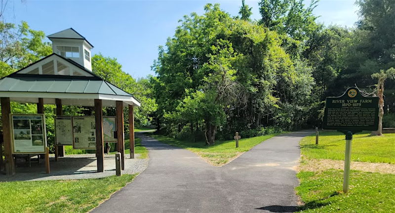 Guided Walk: Springtime in the Forest at Ivy Creek