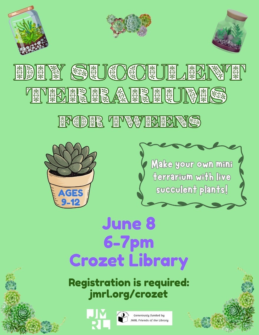 DIY Succulent Terrariums for Tweens