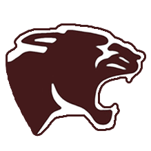 HS Soccer: Girls Varsity Game