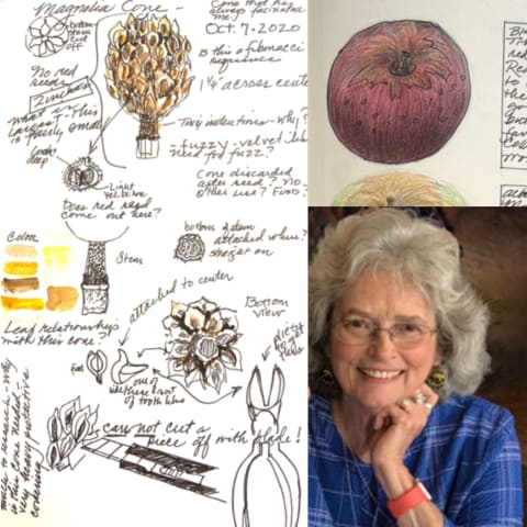 Nature Journaling with Rhonda Roebuck
