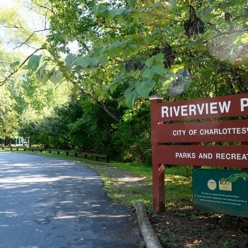 Whimsical River Stroll