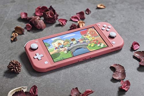 Vue 2 de Console Switch Lite Corail
