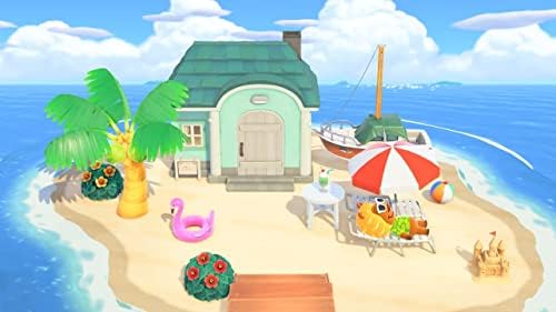 Vue 6 de Animal Crossing New Horizons