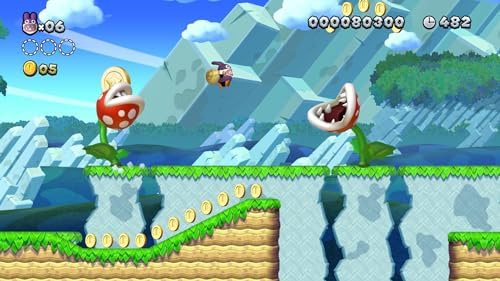 Vue 5 de New Super Mario Bros