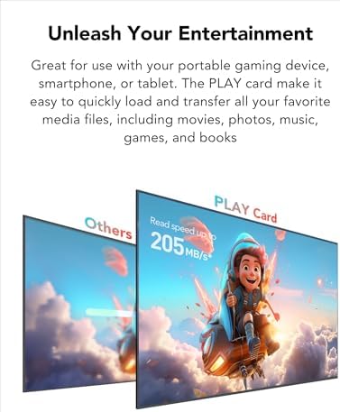 Vue 2 de Lexar Play Carte Micro