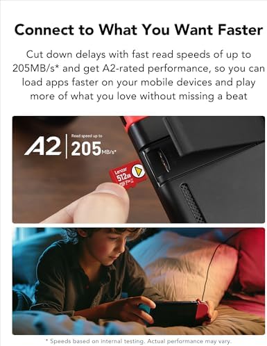 Vue 3 de Lexar Play Carte Micro