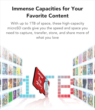 Vue 5 de Lexar Play Carte Micro