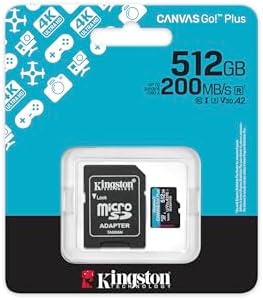 Vue 3 de Kingston Canvas Go Plus