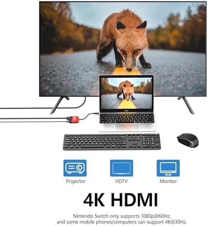 Vue 5 de Switch Tv Dock Fur