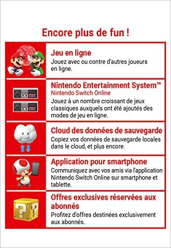 Vue 4 de Abonnement Nintendo Switch Online