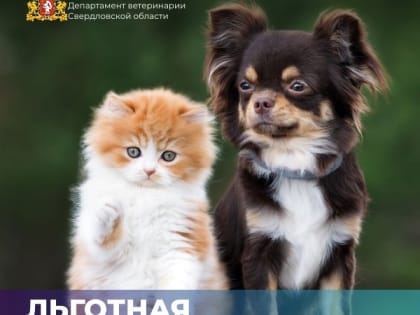 Второй этап конкурса  с  целью формирования кадрового резерва  старшей группы должностей    государственной гражданской службы  в  Арбитражн